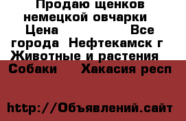 Продаю щенков немецкой овчарки › Цена ­ 5000-6000 - Все города, Нефтекамск г. Животные и растения » Собаки   . Хакасия респ.